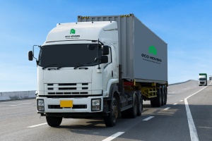 Long Distance Moving Services Sri Lanka